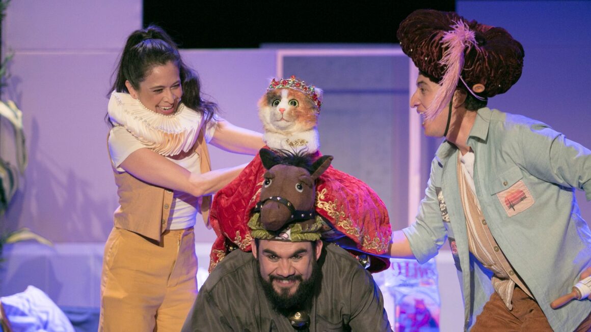 Diseno-sin-titulo-35-1160x653 Cati, Catalina, Calicó…O la maravillosa vida de la niña gato