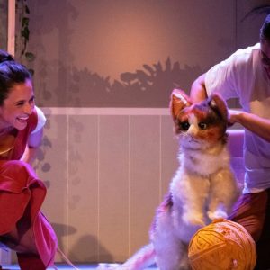 Cati, Catalina, Calicó…O la maravillosa vida de la niña gato