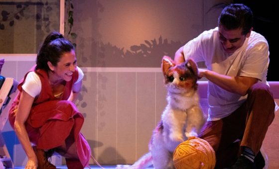 Cati, Catalina, Calicó…O la maravillosa vida de la niña gato