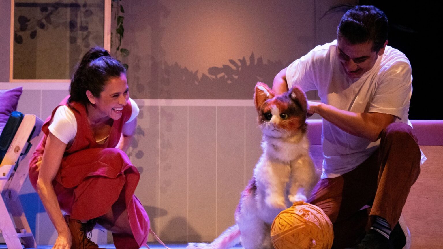 Cati, Catalina, Calicó…O la maravillosa vida de la niña gato