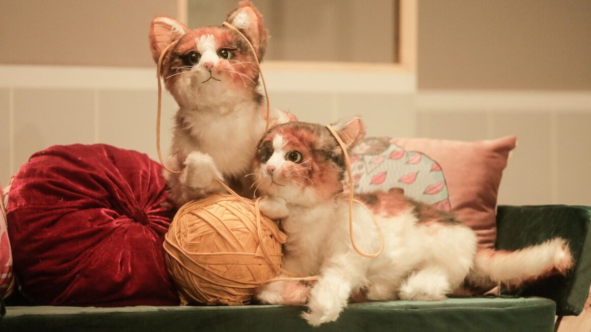 Diseno-sin-titulo-37-1160x653 Cati, Catalina, Calicó…O la maravillosa vida de la niña gato