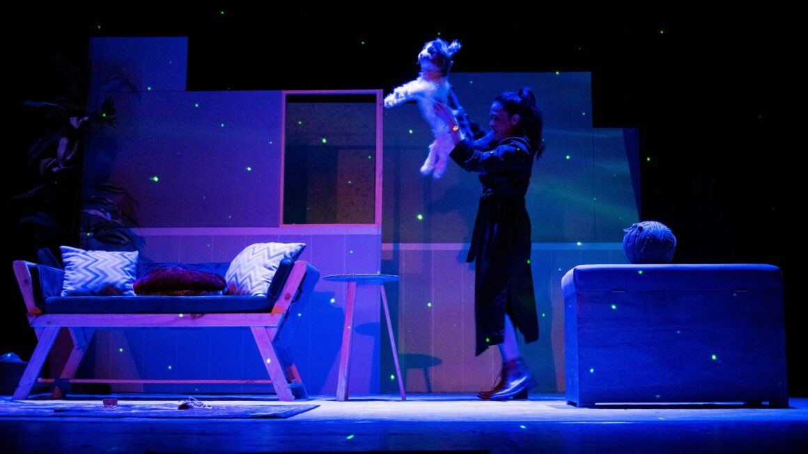 Diseno-sin-titulo-41-1160x653 Cati, Catalina, Calicó…O la maravillosa vida de la niña gato