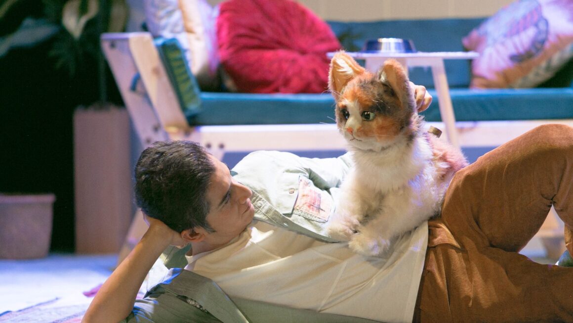 Diseno-sin-titulo-43-1160x653 Cati, Catalina, Calicó…O la maravillosa vida de la niña gato