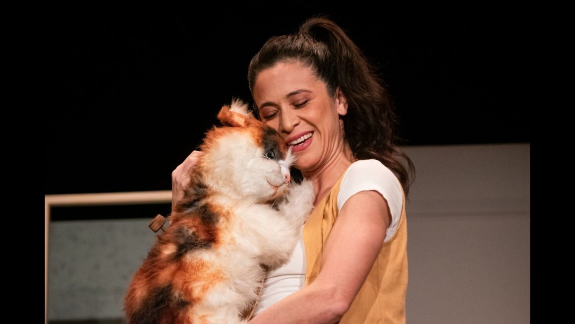 Diseno-sin-titulo-44-1160x653 Cati, Catalina, Calicó…O la maravillosa vida de la niña gato