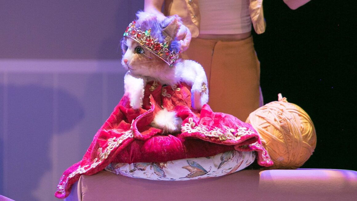 Diseno-sin-titulo-45-1160x653 Cati, Catalina, Calicó…O la maravillosa vida de la niña gato